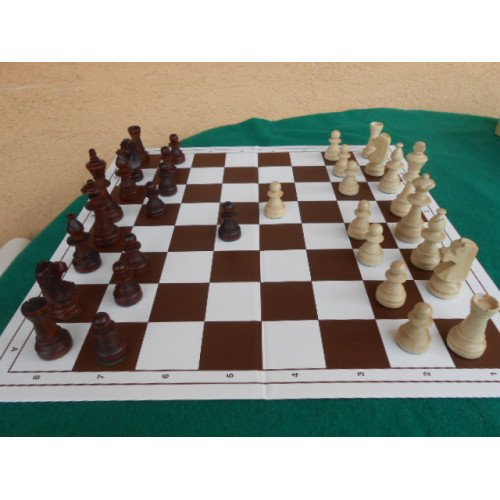 Schach International